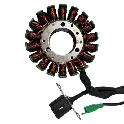 EFI 250DP 18-قطب 180 وات الجزء الثابت المغناطيسي